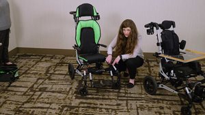 Getting to Know the ZIPPIE Sphynx