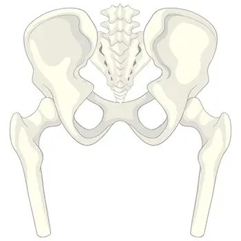 An Update on Hip Development for Children with Cerebral Palsy